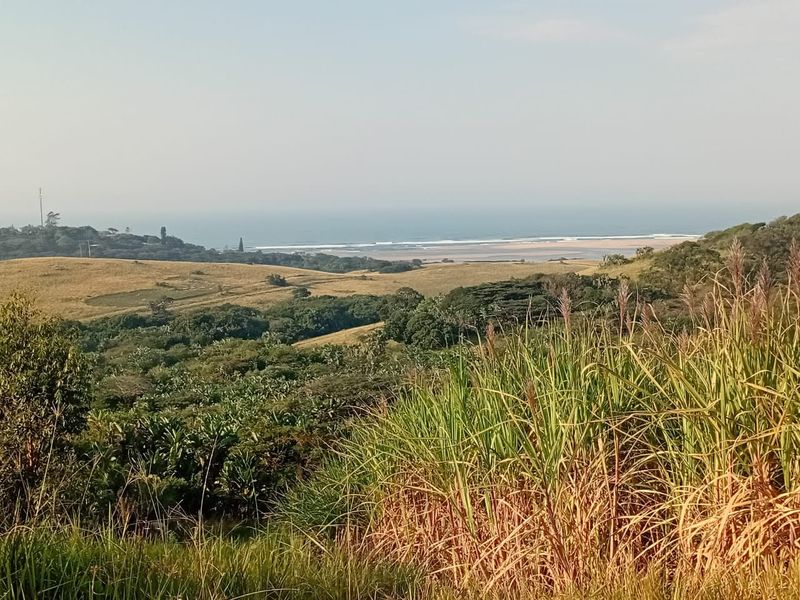 Exceptional 300 Hectare Working Sugarcane Farm with Development Potential - Photo 6