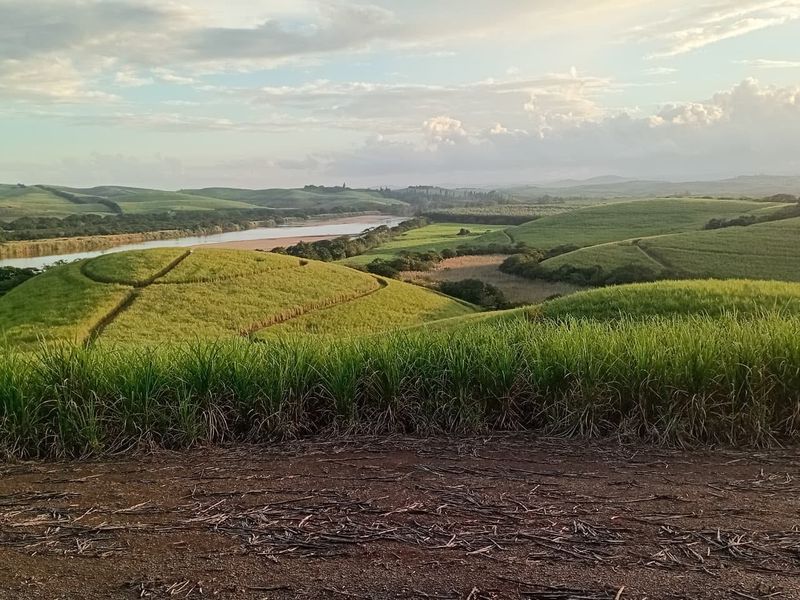 Exceptional 300 Hectare Working Sugarcane Farm with Development Potential - Photo 10