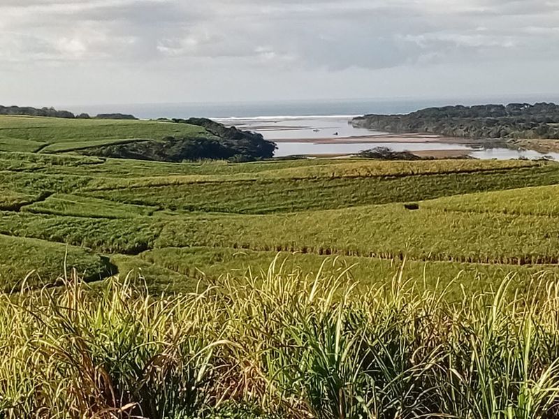 Exceptional 300 Hectare Working Sugarcane Farm with Development Potential - Photo 9