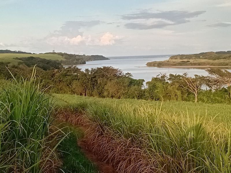 Exceptional 300 Hectare Working Sugarcane Farm with Development Potential - Photo 7