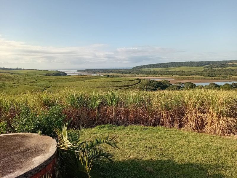 Exceptional 300 Hectare Working Sugarcane Farm with Development Potential - Photo 8