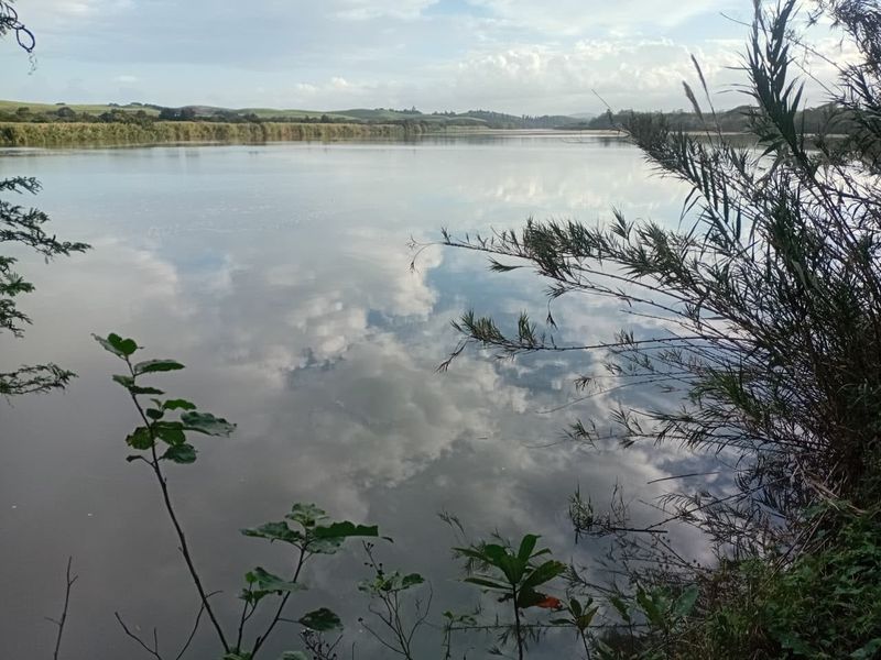Exceptional 300 Hectare Working Sugarcane Farm with Development Potential - Photo 2
