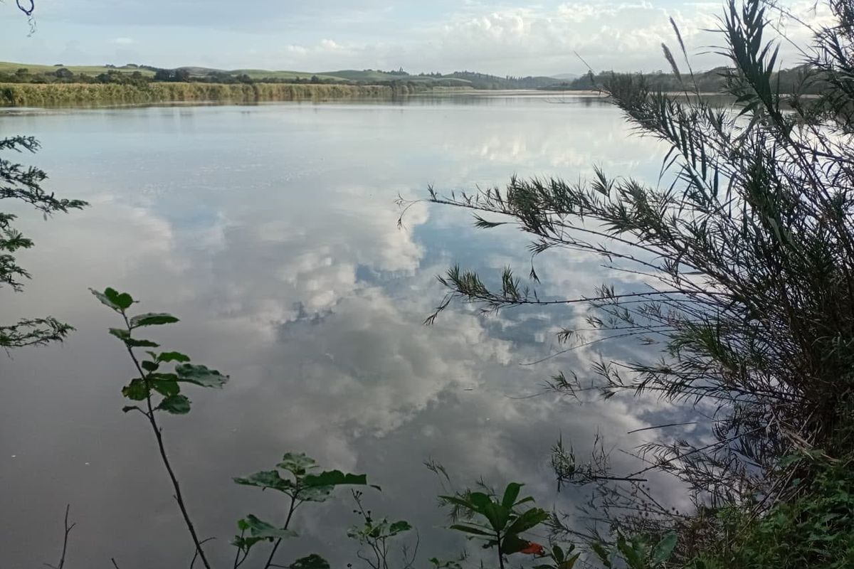 Exceptional 300 Hectare Working Sugarcane Farm with Development Potential - Photo 2