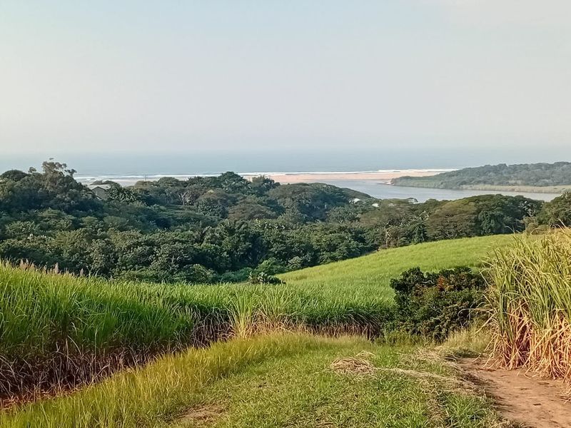 Exceptional 300 Hectare Working Sugarcane Farm with Development Potential - Photo 5