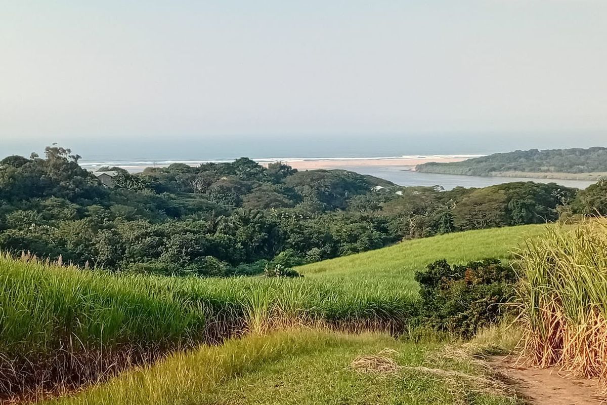 Exceptional 300 Hectare Working Sugarcane Farm with Development Potential - Photo 5