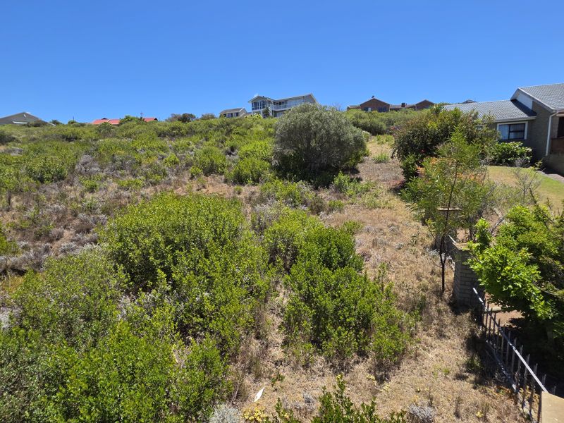 A view of a sloped, undeveloped residential plot featuring natural vegetation and surrounding neighborhood homes.