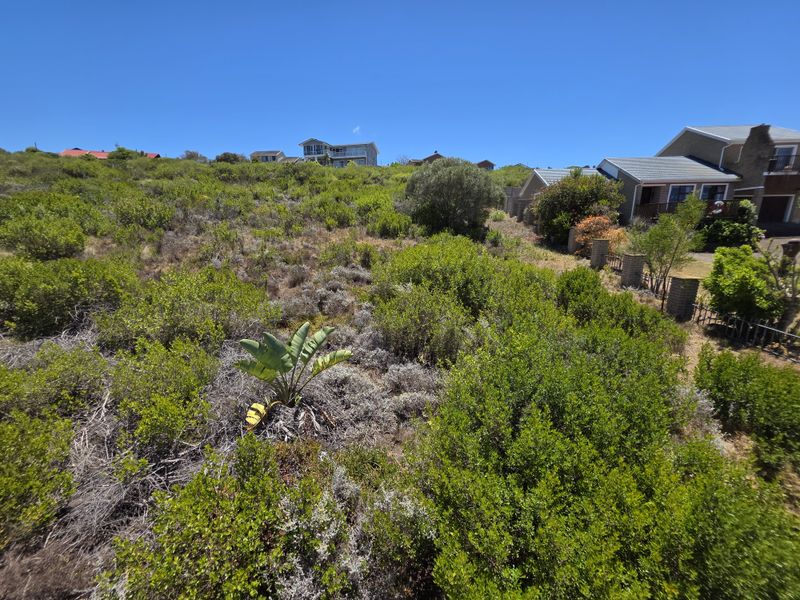 A sloped residential vacant land plot featuring natural coastal vegetation, situated in an established neighborhood with surrounding residential properties.