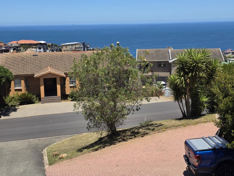 Elevated view overlooking a residential street with established homes and a clear ocean horizon in the background.