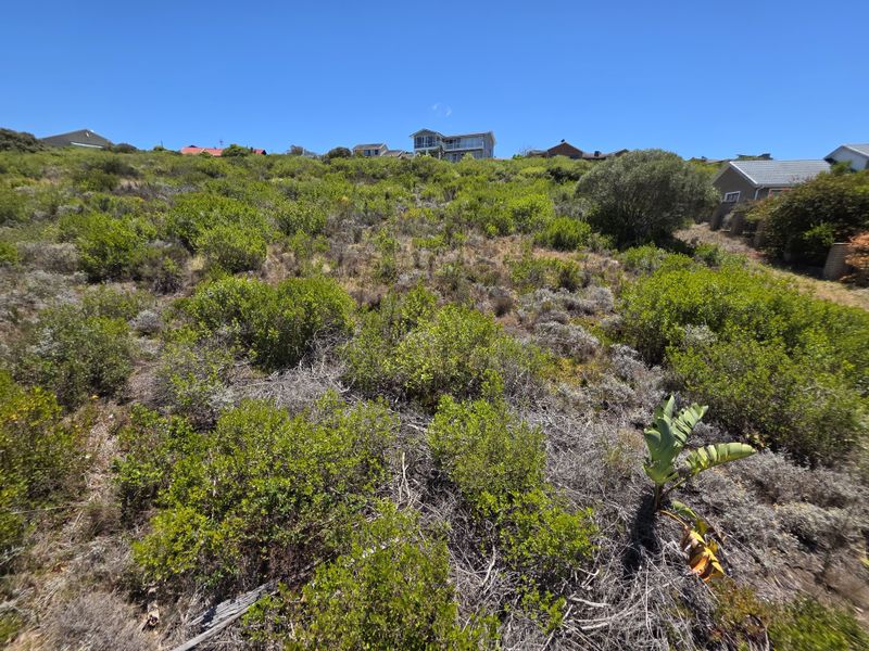 A sloped, undeveloped residential plot covered in indigenous coastal vegetation, offering potential for a custom home build in a established neighborhood.