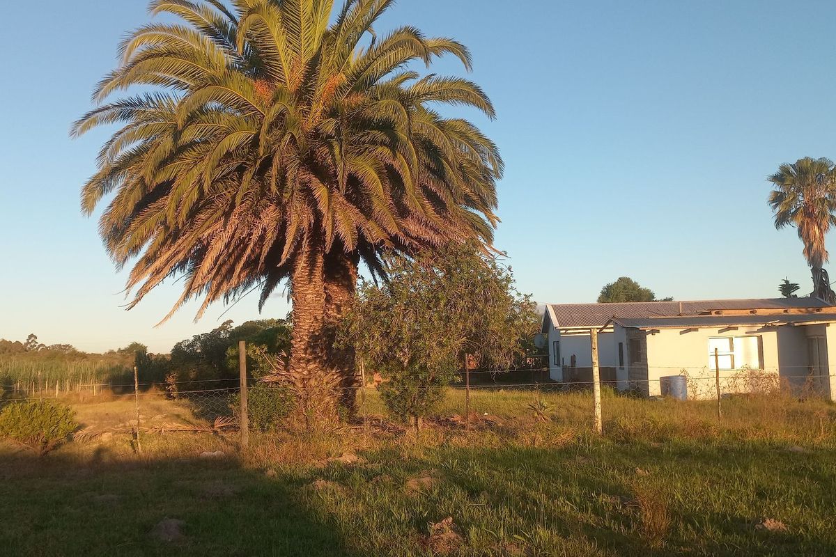 Large Vacant stand - Photo 4