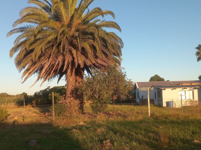 Large Vacant stand - Photo 4