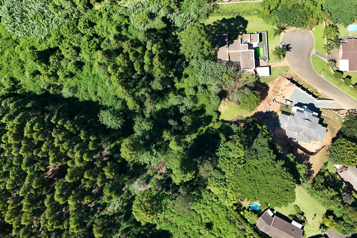 Prime 3,556m2 Development Opportunity in Leafy Chase Valley - Photo 3