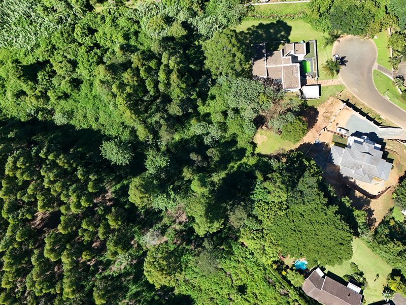 Prime 3,556m2 Development Opportunity in Leafy Chase Valley - Photo 3