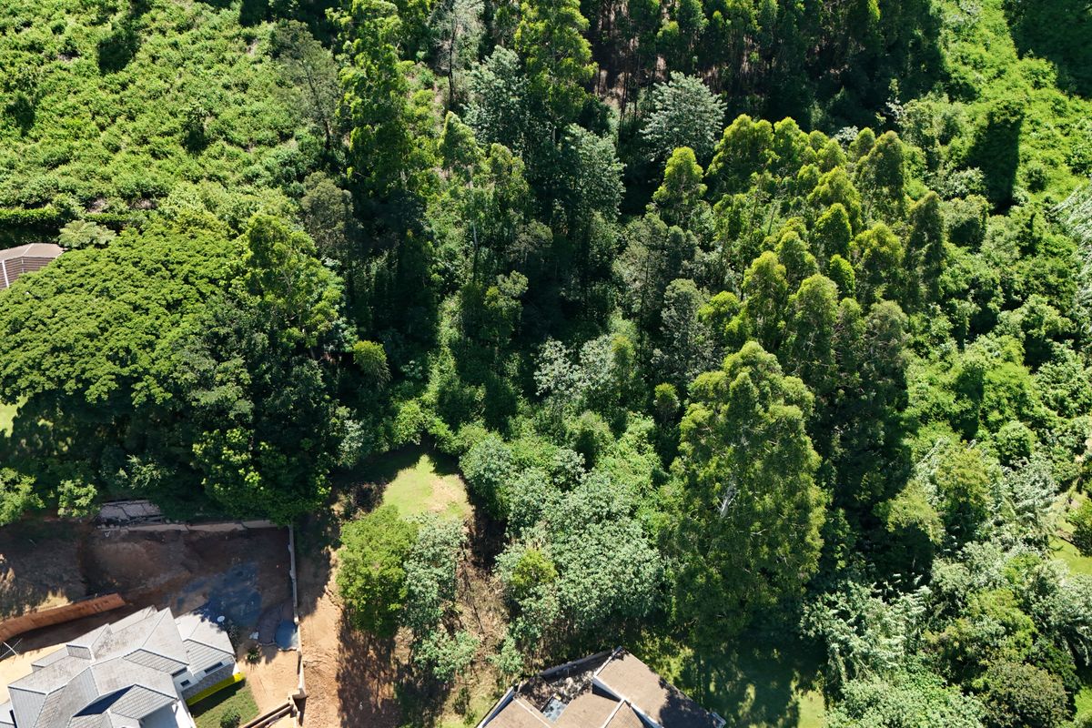 Prime 3,556m2 Development Opportunity in Leafy Chase Valley - Photo 5