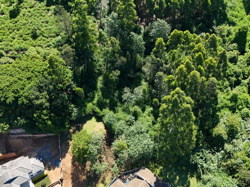 Prime 3,556m2 Development Opportunity in Leafy Chase Valley - Photo 5