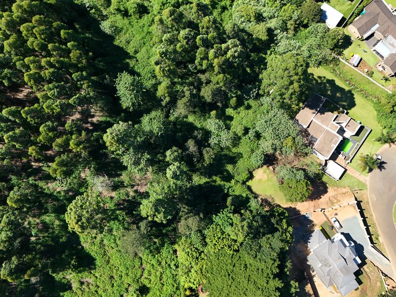 Prime 3,556m2 Development Opportunity in Leafy Chase Valley - Photo 10