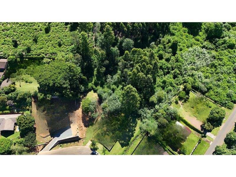 Prime 3,556m2 Development Opportunity in Leafy Chase Valley - Photo 7