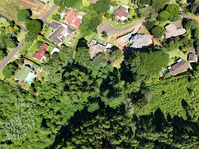 Prime 3,556m2 Development Opportunity in Leafy Chase Valley - Photo 6