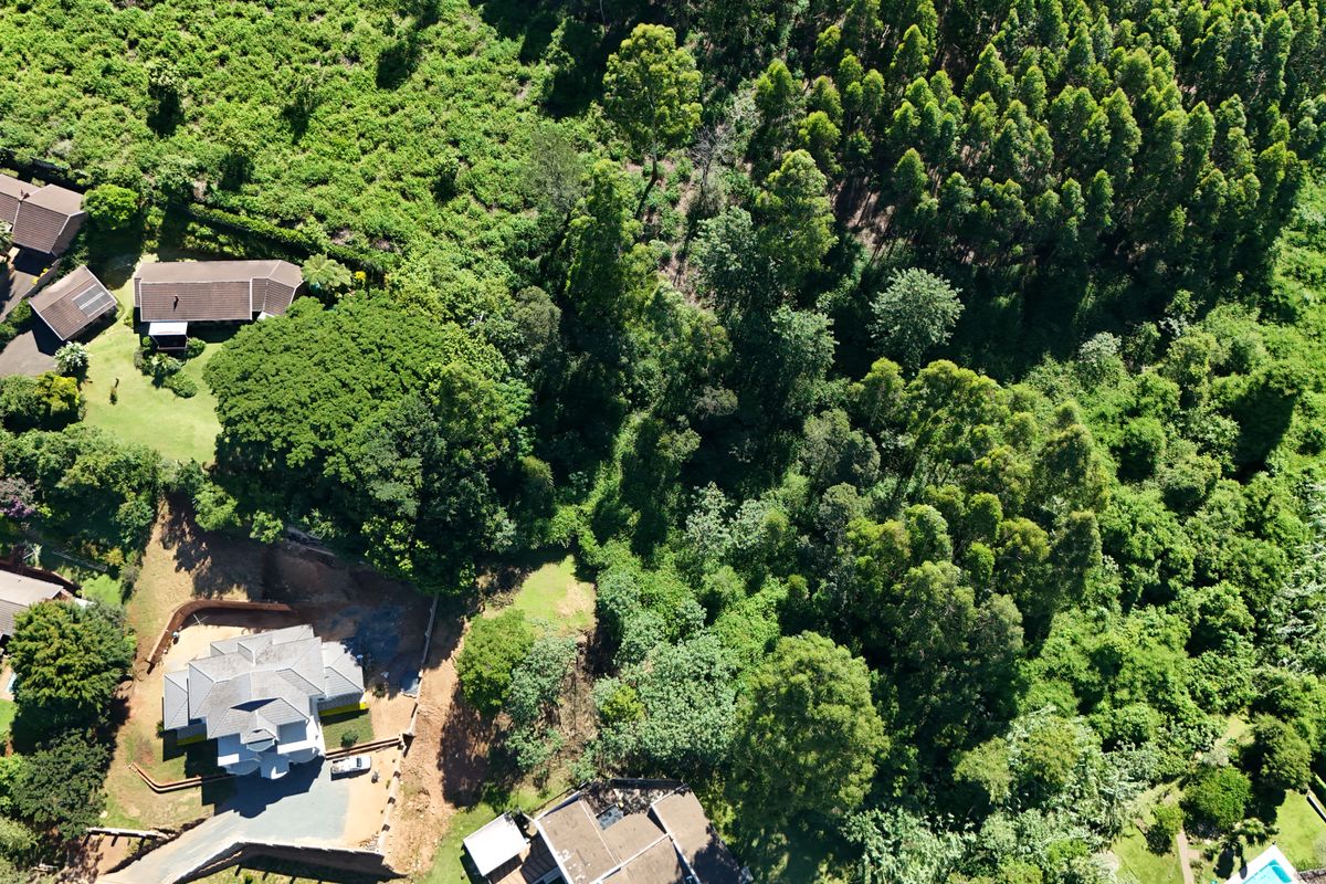 Prime 3,556m2 Development Opportunity in Leafy Chase Valley - Photo 4