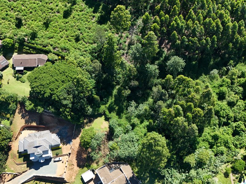 Prime 3,556m2 Development Opportunity in Leafy Chase Valley - Photo 4
