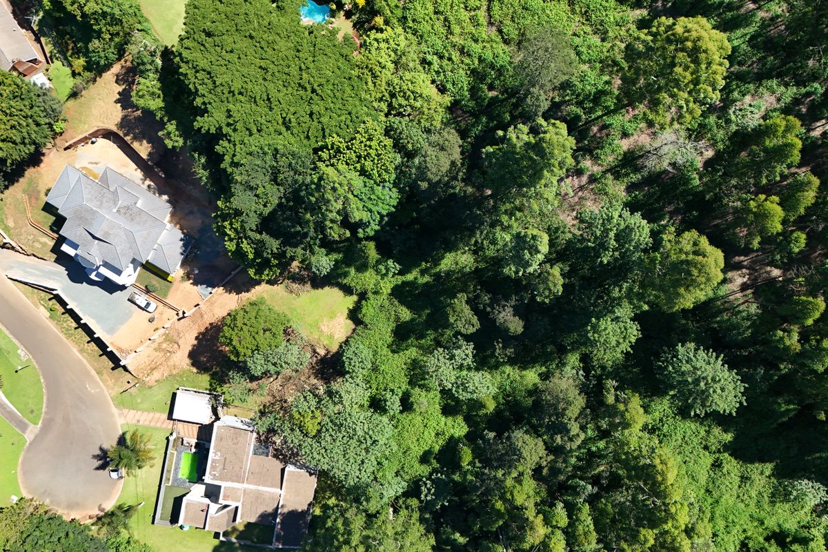 Prime 3,556m2 Development Opportunity in Leafy Chase Valley - Photo 2