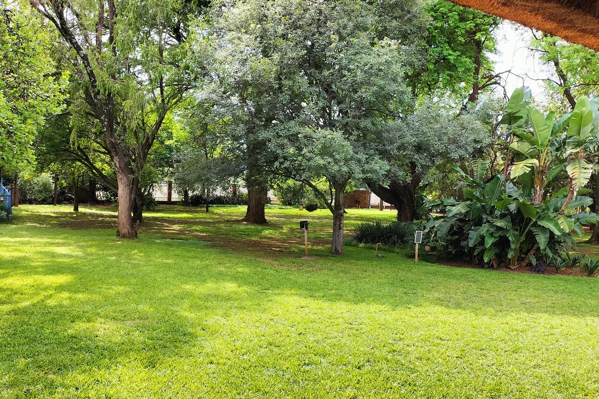 Spacious Lifestyle Property with Thatch Home, Flat & Pool in Heatherdale - Photo 2