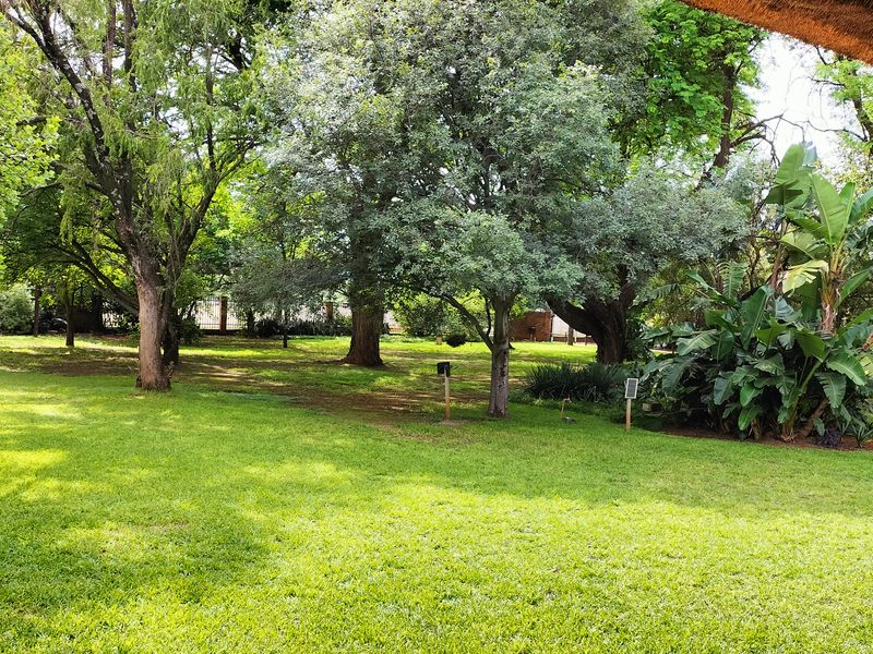 Spacious Lifestyle Property with Thatch Home, Flat & Pool in Heatherdale - Photo 2