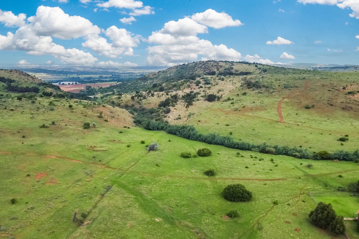 Country Living  with 5 Modern Residences on 2.2 Hectare Viewsite Plot - Protea Ridge Krugersdorp - Photo 5