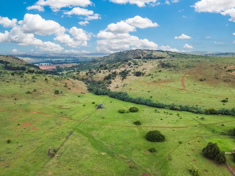 Country Living  with 5 Modern Residences on 2.2 Hectare Viewsite Plot - Protea Ridge Krugersdorp - Photo 5