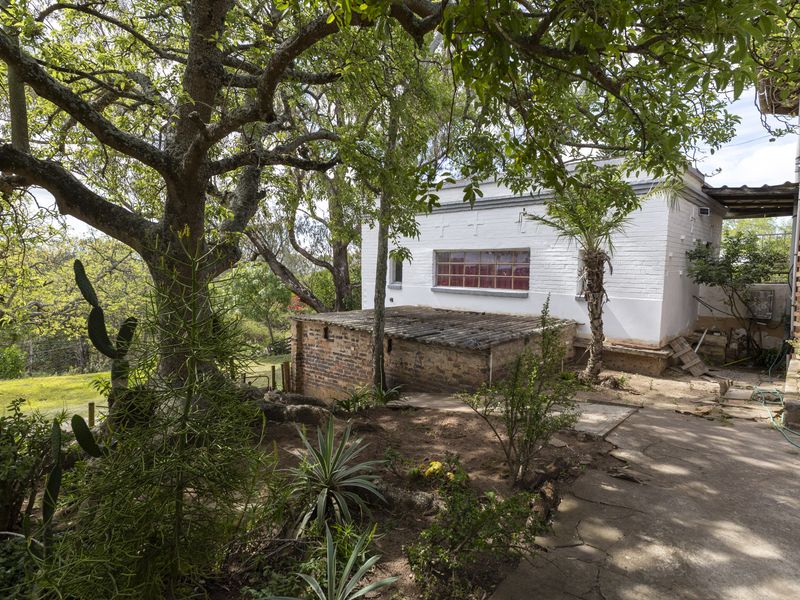 Rear view of the property showing a brick outbuilding, mature garden landscaping, and paved pathways under established tree canopy.