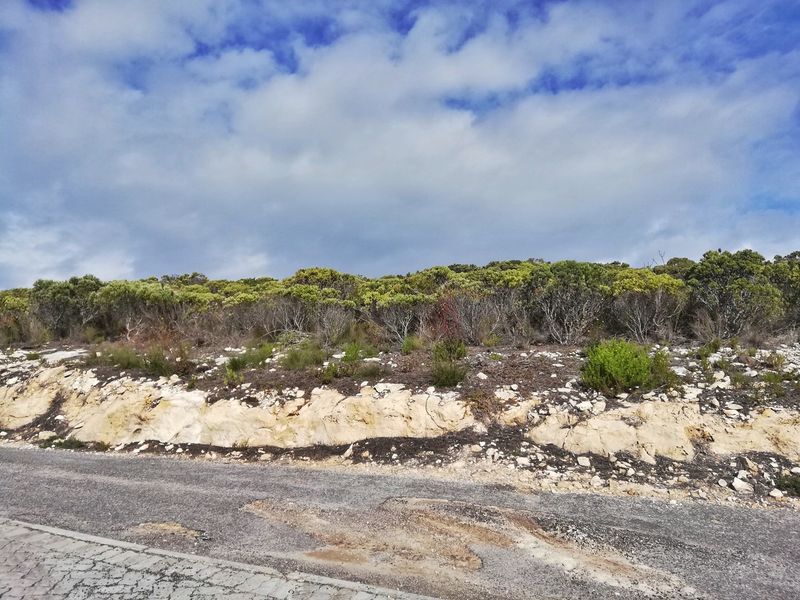 Discover Your Paradise in the L'Agulhas Nature Reserve! - Photo 9