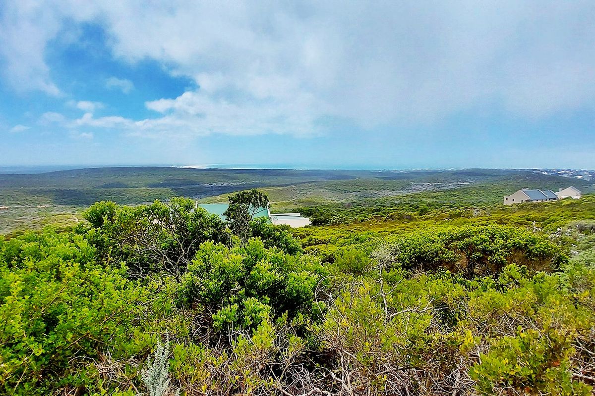 Where Fynbos Living Meets Incredible Views - Photo 5
