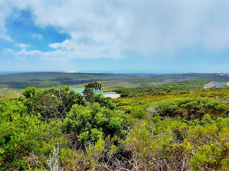 Where Fynbos Living Meets Incredible Views - Photo 5