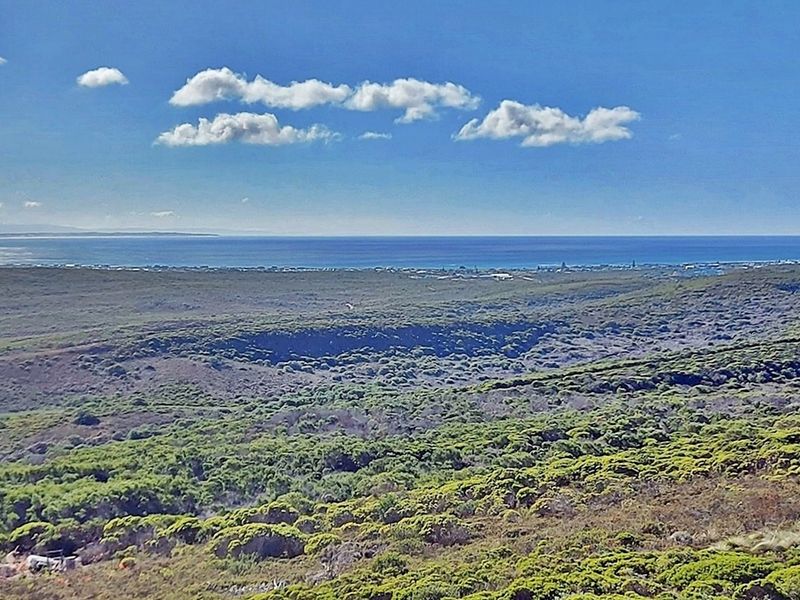 Where Fynbos Living Meets Incredible Views - Photo 8