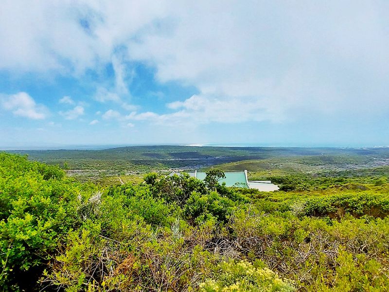Where Fynbos Living Meets Incredible Views - Photo 10