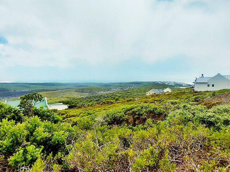 Where Fynbos Living Meets Incredible Views - Photo 7