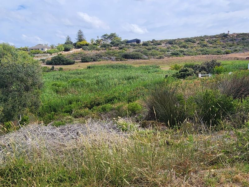 Rare Riverview Gem in Exclusive Kareelaan – A Stand Like No Other - Photo 3