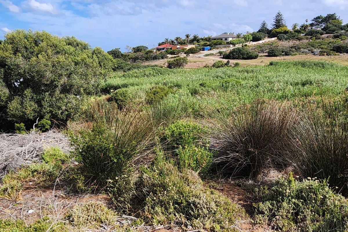 Rare Riverview Gem in Exclusive Kareelaan – A Stand Like No Other - Photo 2