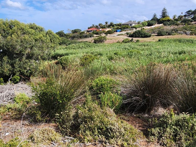 Rare Riverview Gem in Exclusive Kareelaan – A Stand Like No Other - Photo 2