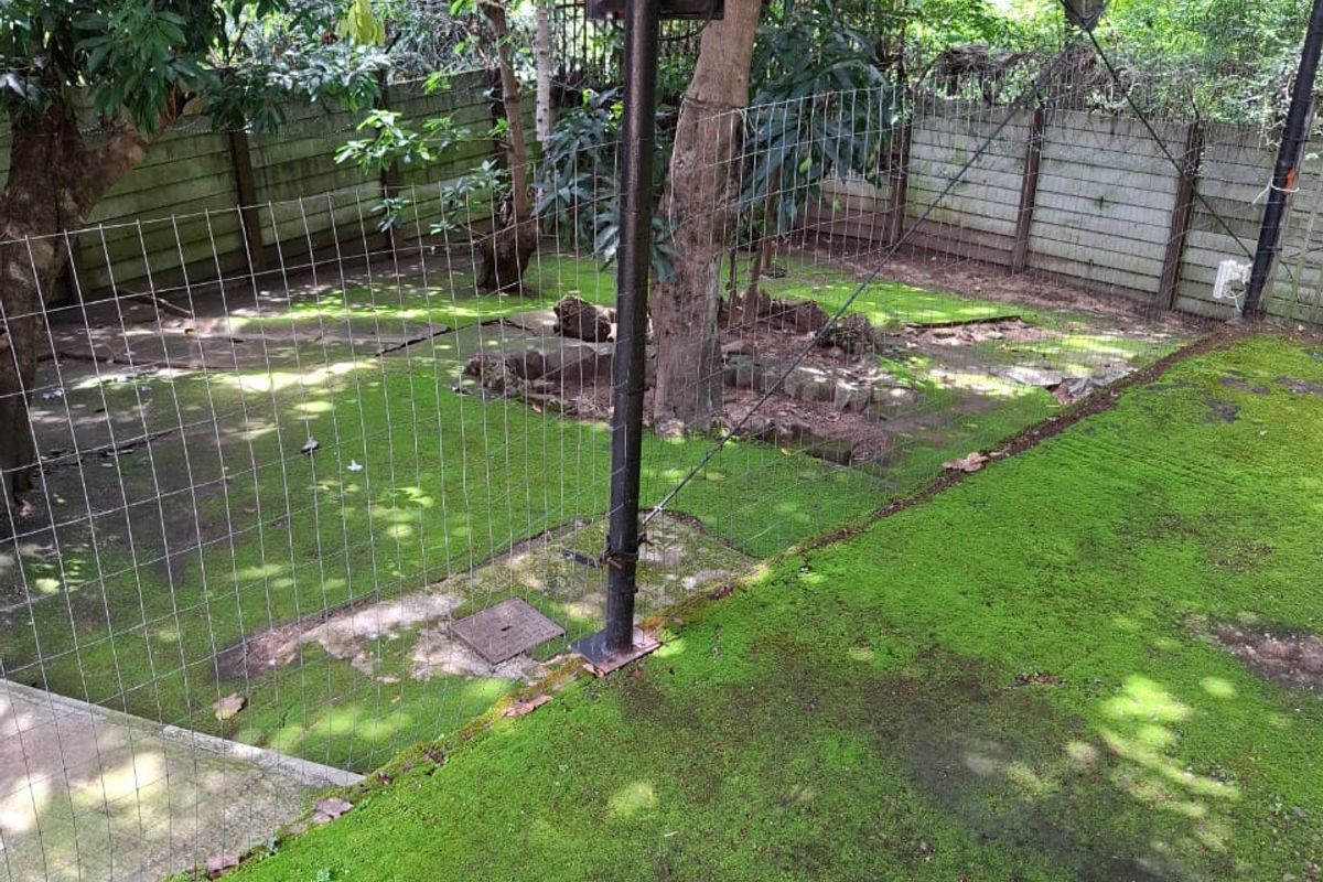 Freestanding 3‐bedroom home with flat, surrounded by nature in tranquil Numbi Park. - Photo 2
