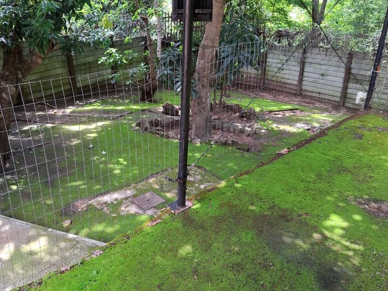 Freestanding 3‐bedroom home with flat, surrounded by nature in tranquil Numbi Park. - Photo 2
