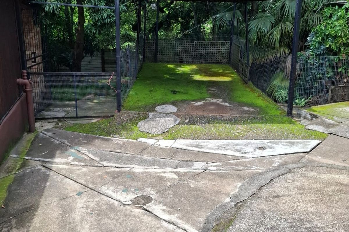 Freestanding 3‐bedroom home with flat, surrounded by nature in tranquil Numbi Park. - Photo 4
