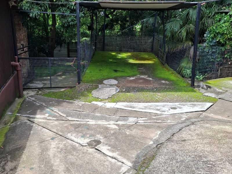 Freestanding 3‐bedroom home with flat, surrounded by nature in tranquil Numbi Park. - Photo 4