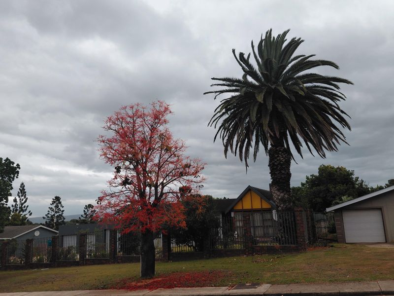 Freehold Pending Sale In Uitenhage - Photo 7