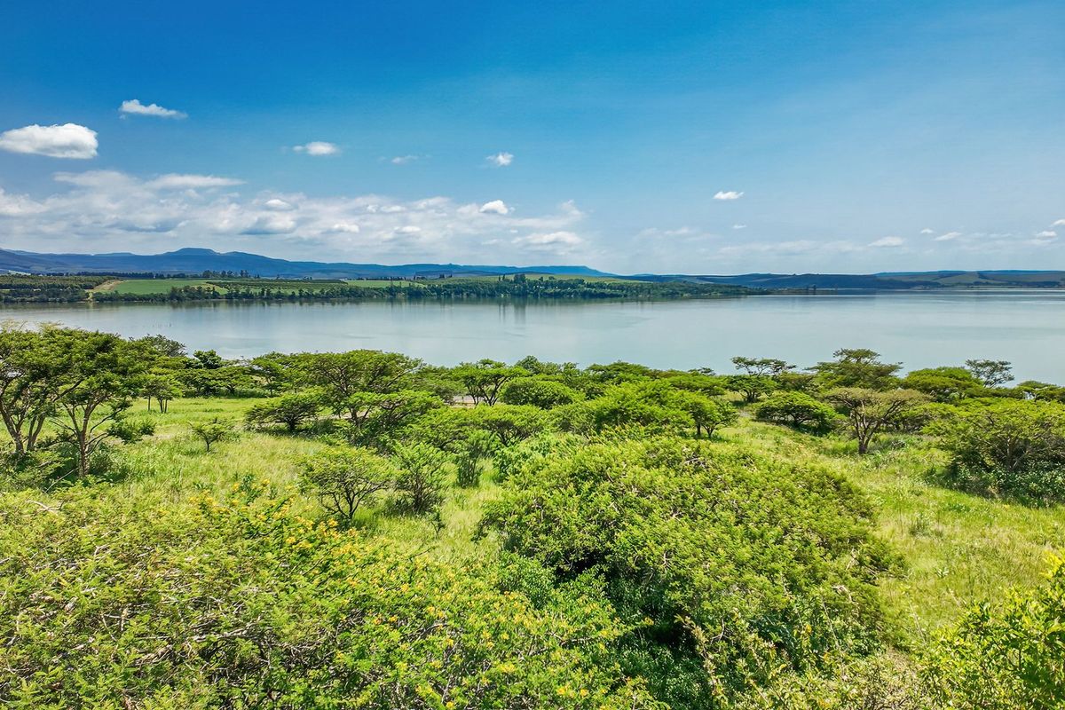 Exquisite Family Home - Photo 4