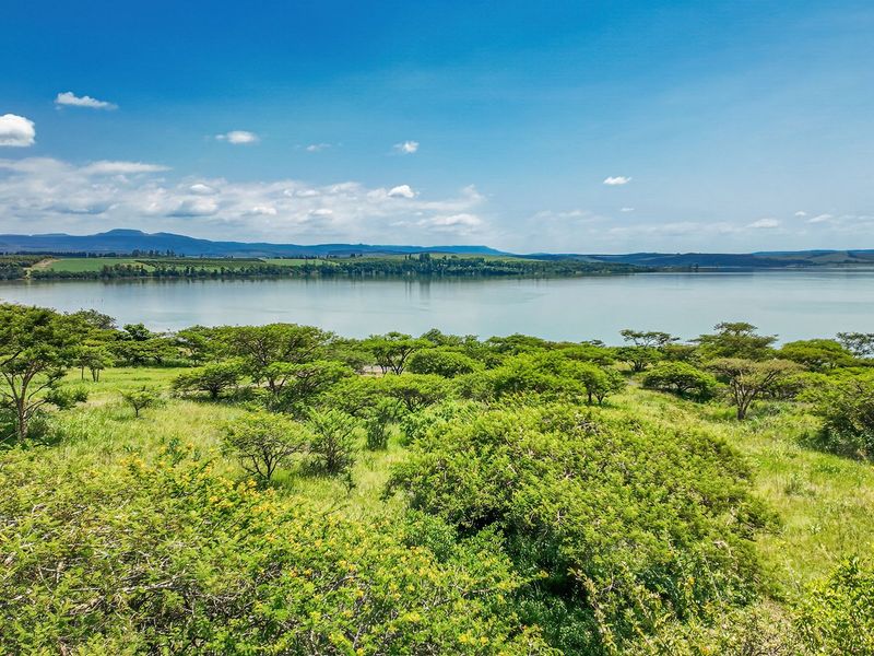 Exquisite Family Home - Photo 4