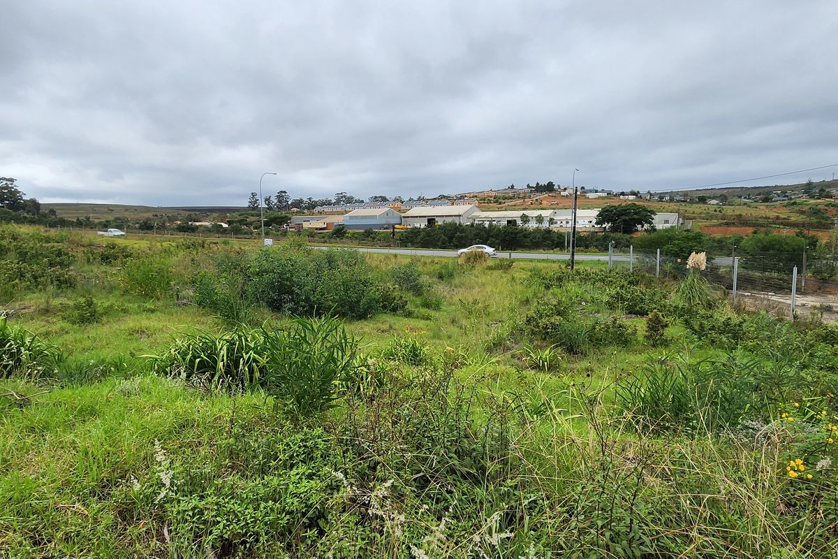 Spacious Vacant Stand with Excellent Development Potential in Swellendam - Photo 3