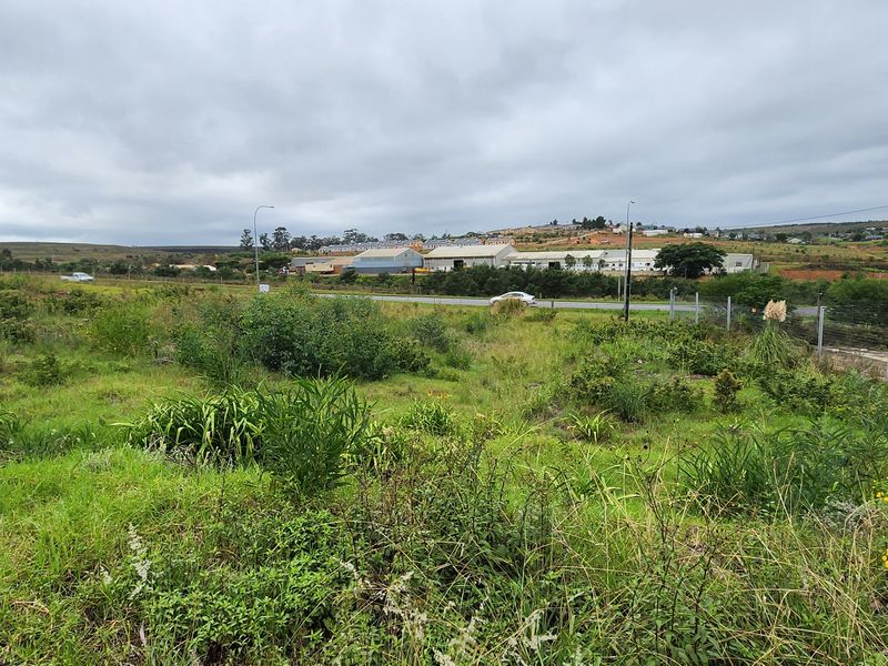 Spacious Vacant Stand with Excellent Development Potential in Swellendam - Photo 3
