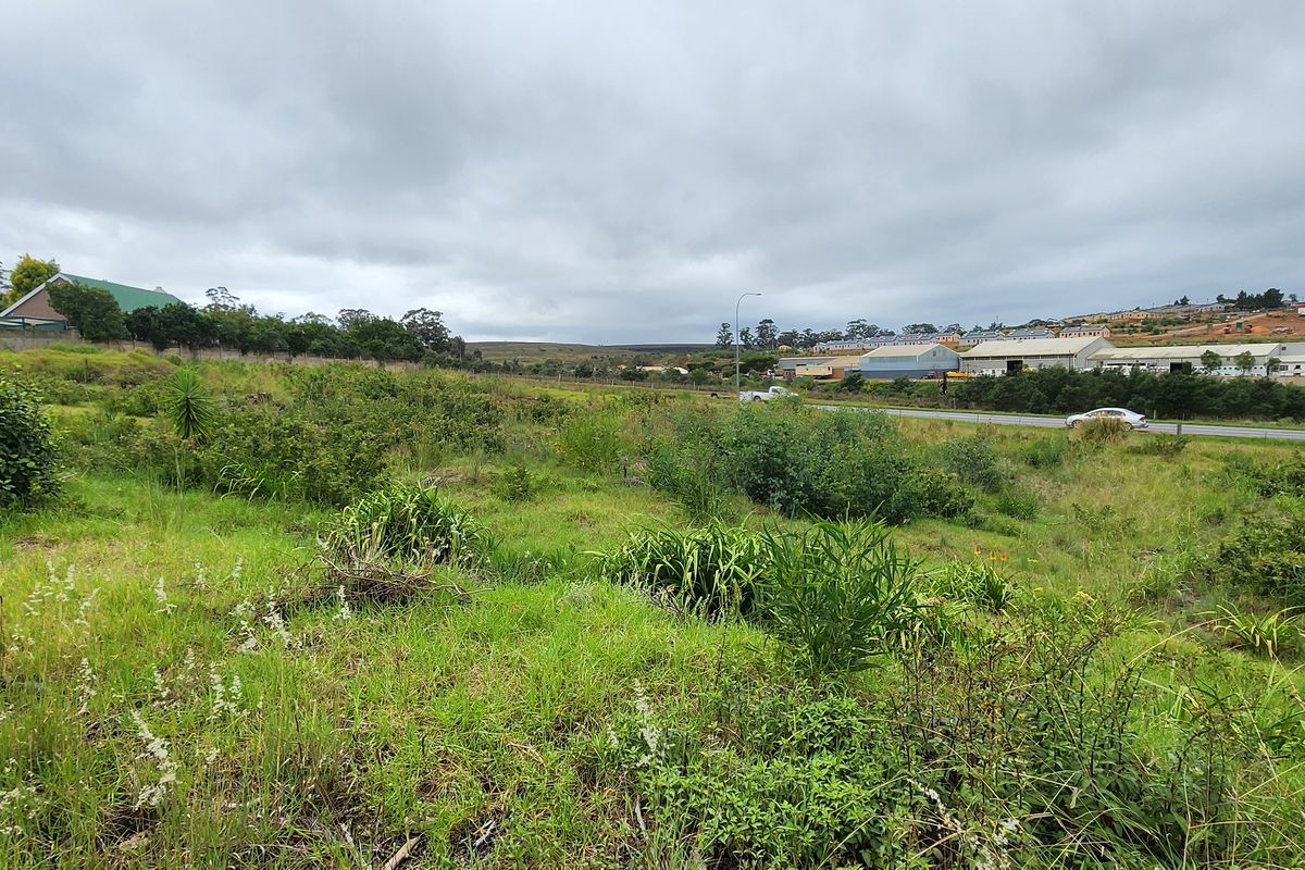 Spacious Vacant Stand with Excellent Development Potential in Swellendam - Photo 4