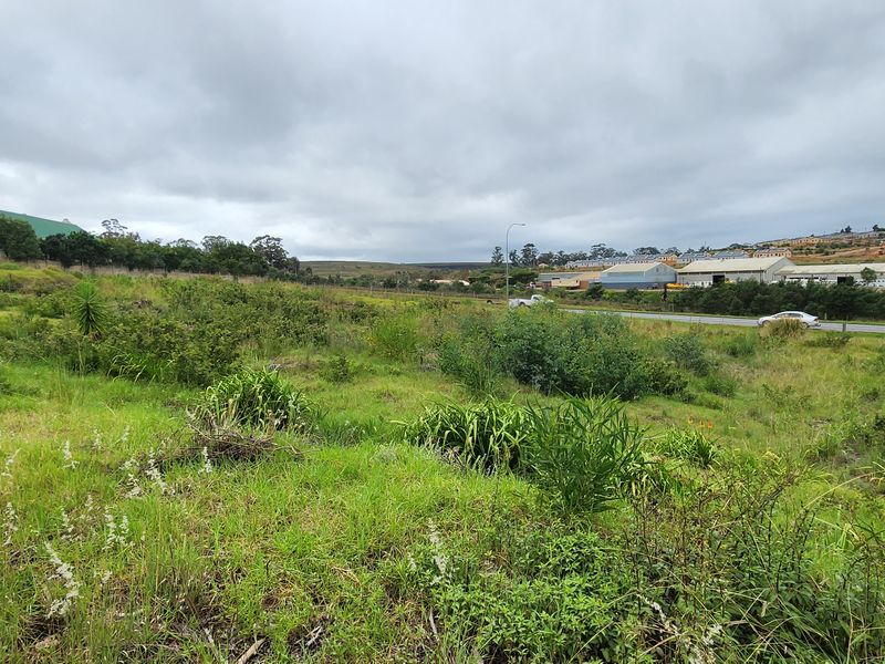 Spacious Vacant Stand with Excellent Development Potential in Swellendam - Photo 4